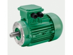 NERI High efficiency electric motor