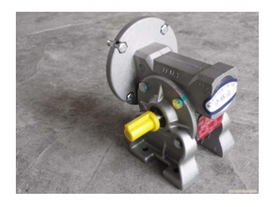 Bonfigloli Group VF series reducer 