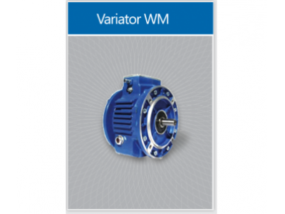 STM WM typle Stepless speed variator